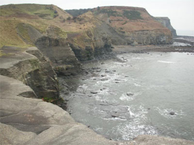 Whitby Jet